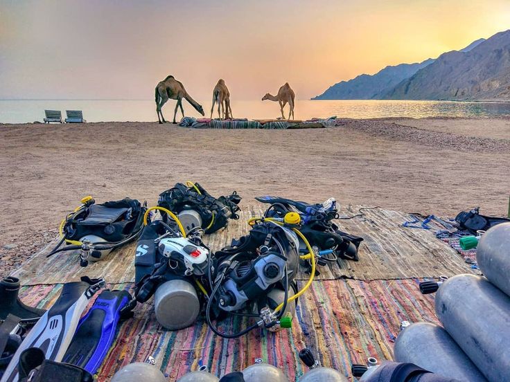 Dahab