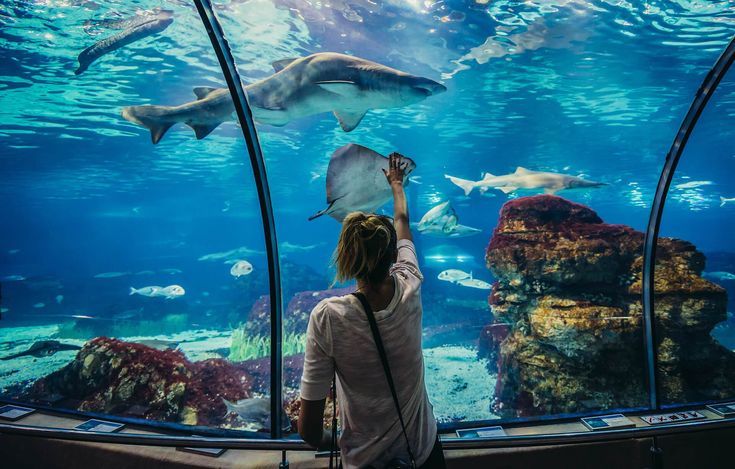 Hurghada Grand Aquarium