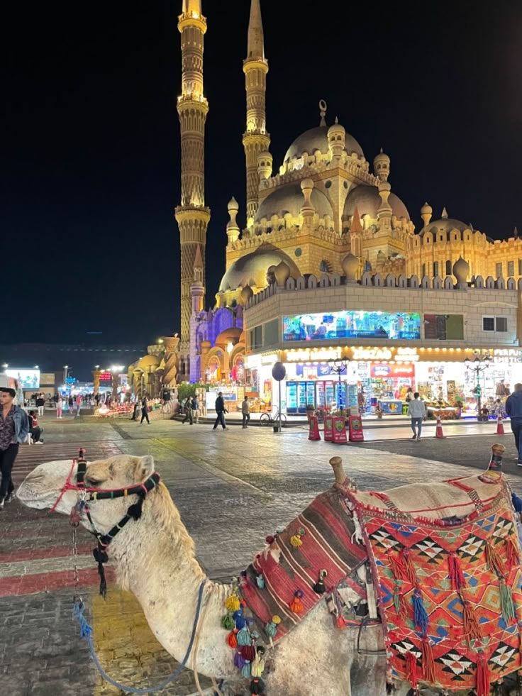 Explore the Old Market & Al-Sahaba Mosque