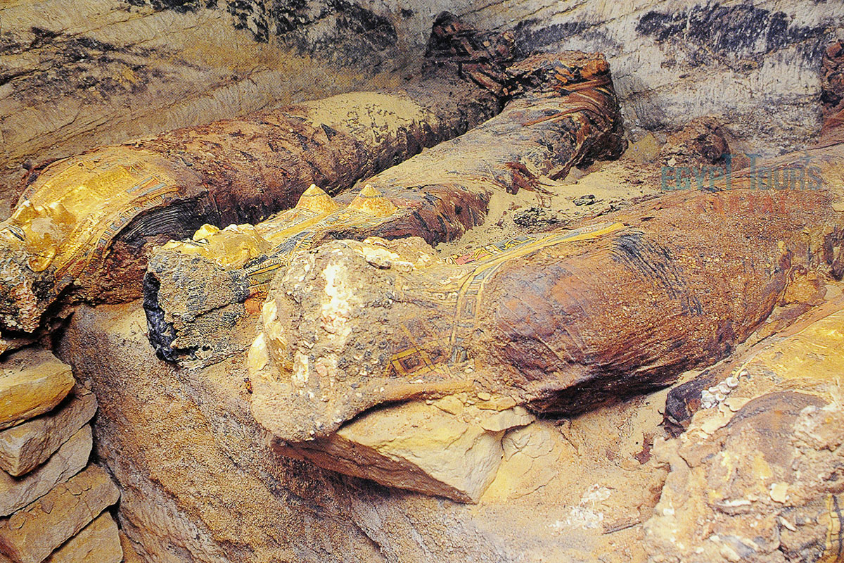 Visit the Museum of the Golden Mummies