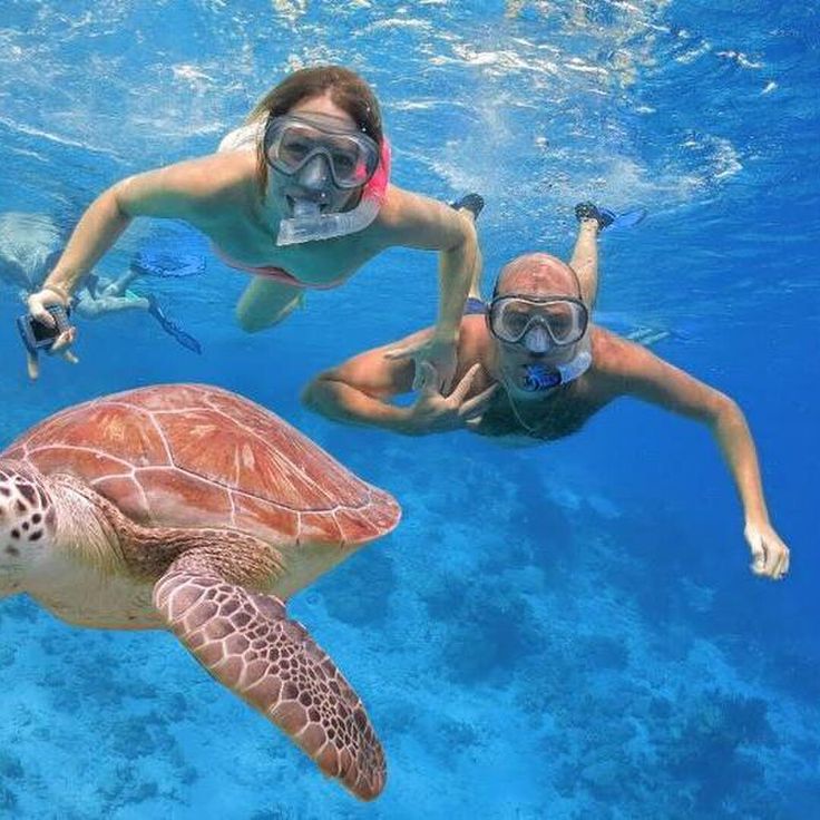 Snorkel at Abu Dabbab Bay