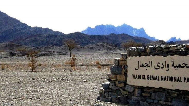 Explore Wadi El Gemal National Park