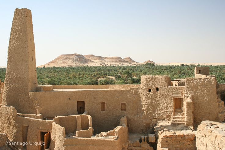Visit the Temple of the Oracle