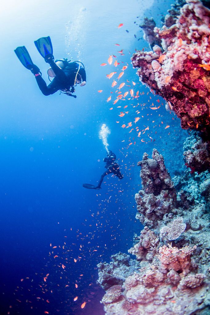 Dive the Legendary Blue Hole