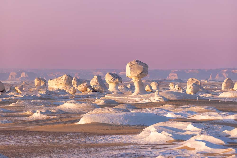 White Desert Tour